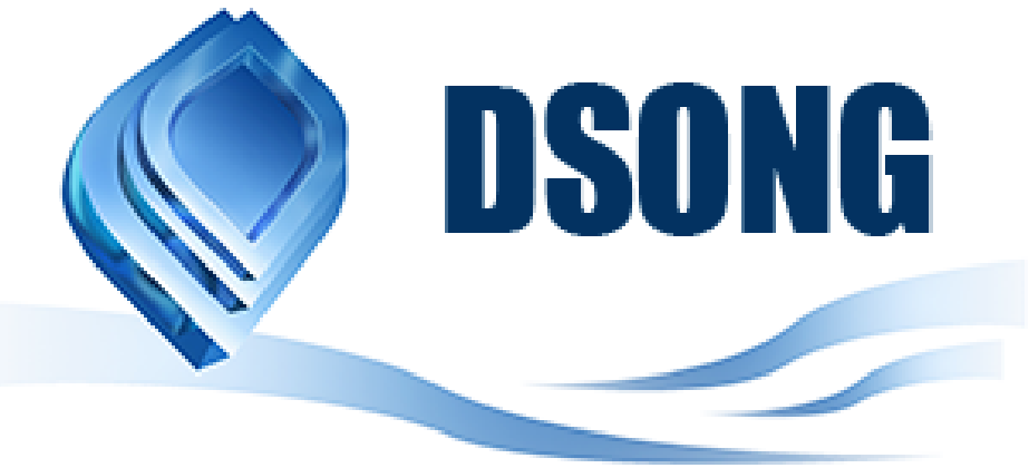China Dsong Technology Co., Ltd
